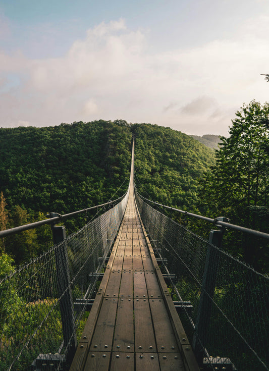 Post 2: From Fear to Funding: Taking Friends and Family on a Journey